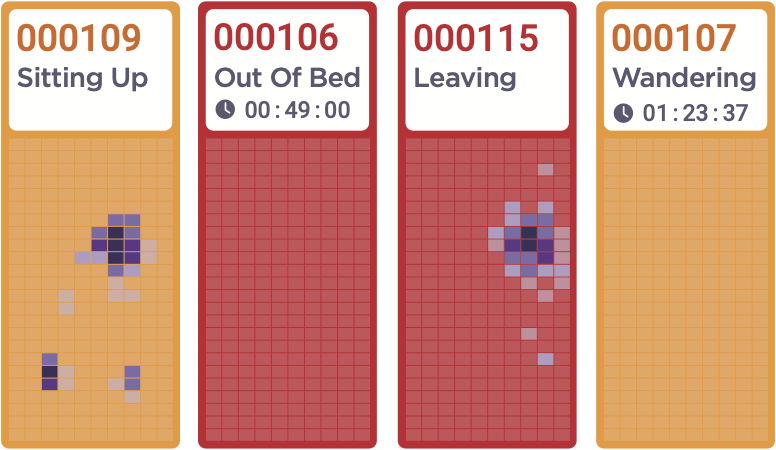 The Challenge of Patient Falls